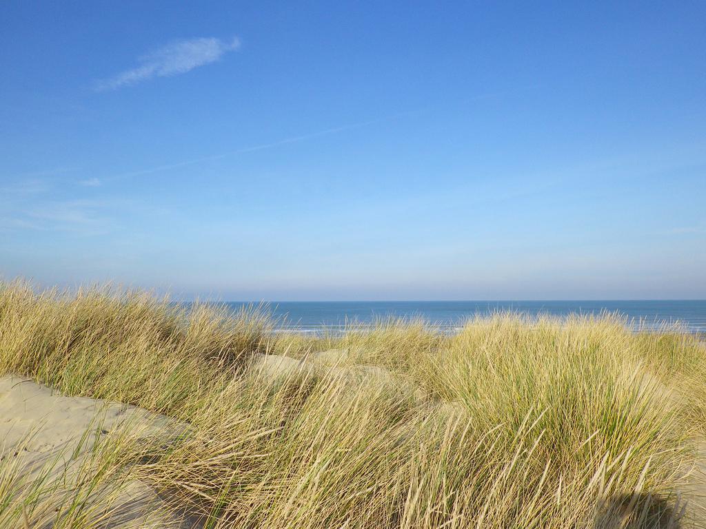 Evancy La Brise Des Dunes Bray-Dunes Exterior photo